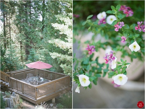 paradise-springs-oakhurst-california-wedding-photos-jamie-judy-pictures_0003